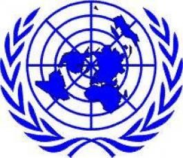 Миротворческие силы ООН
